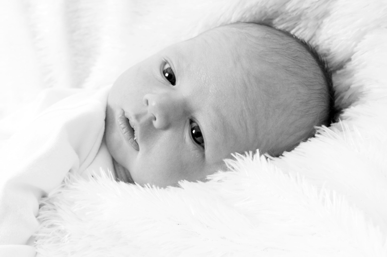 jasper newborn